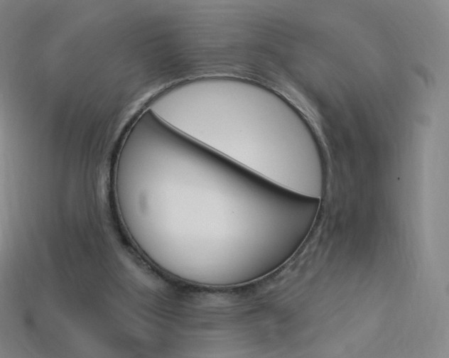 X0000114000107200910021039