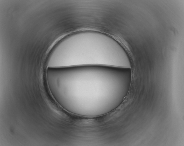 X0000114000108200910021039