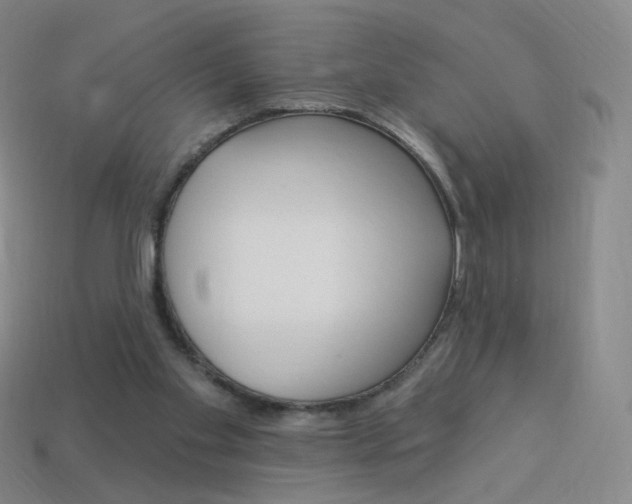 X0000114000109200910021039