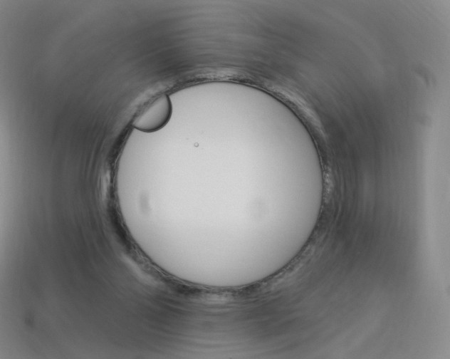 X0000114000110200910021039