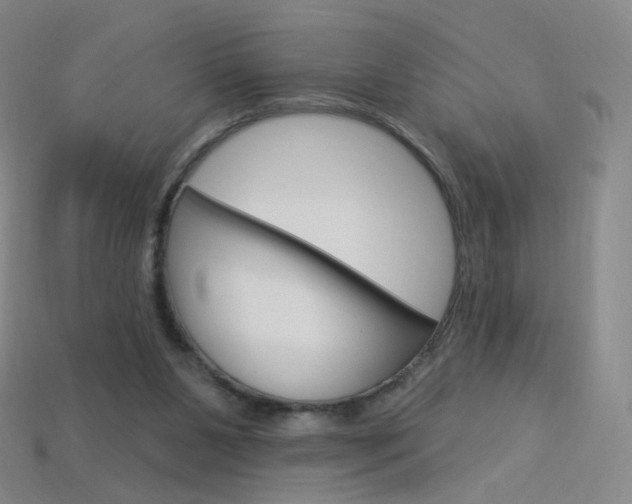 X0000114000111200910021039