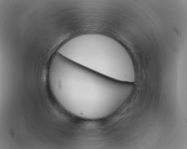 X0000114000115200910021039