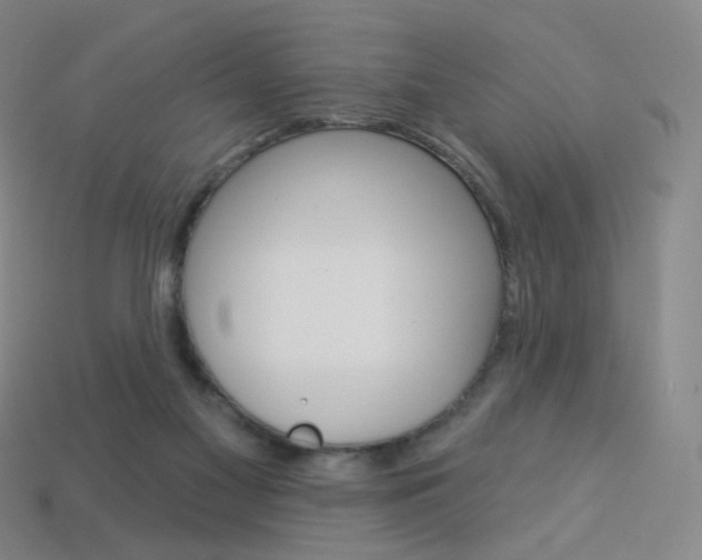X0000114000117200910021039