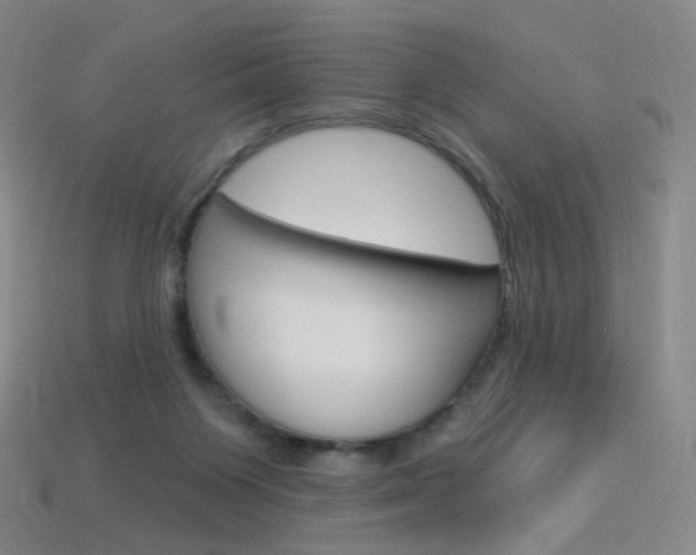 X0000114000119200910021039