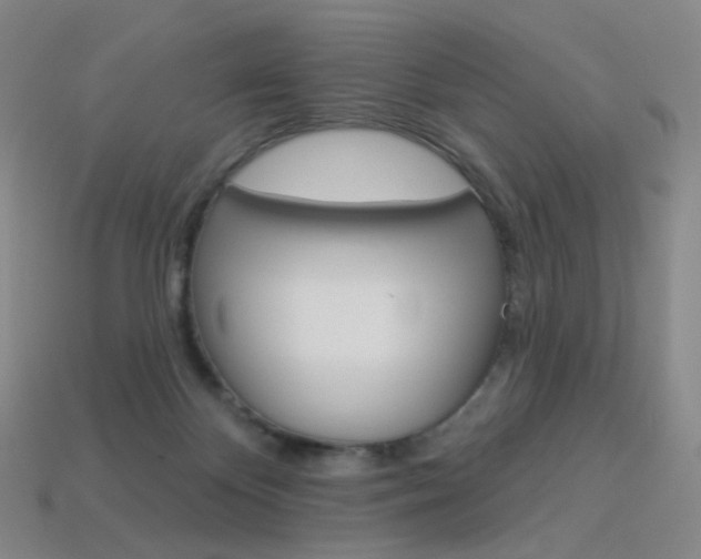 X0000114000124200910021038