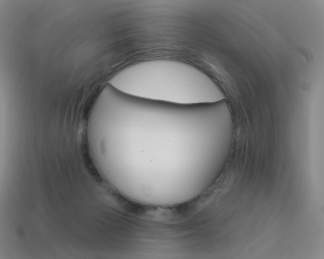 X0000114000125200910021038
