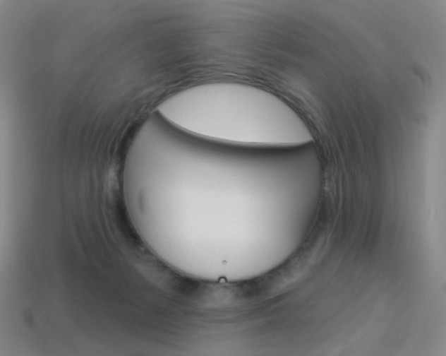 X0000114000127200910021038