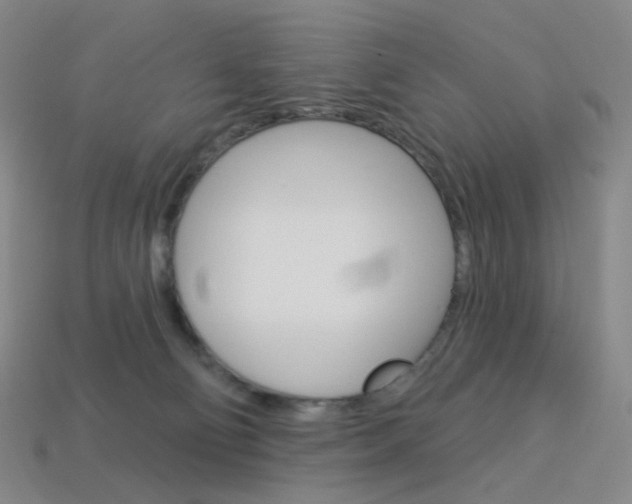 X0000114000130200910021038