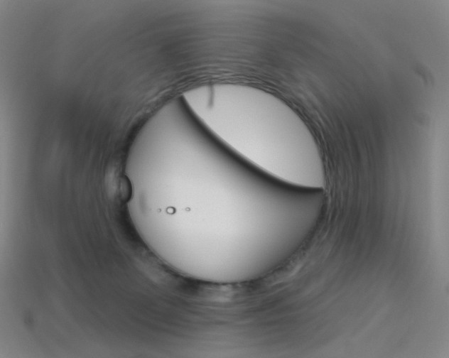 X0000114000131200910021038