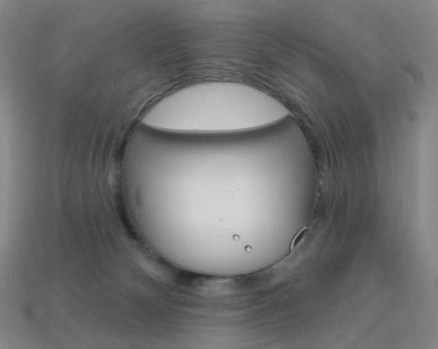 X0000114000132200910021038