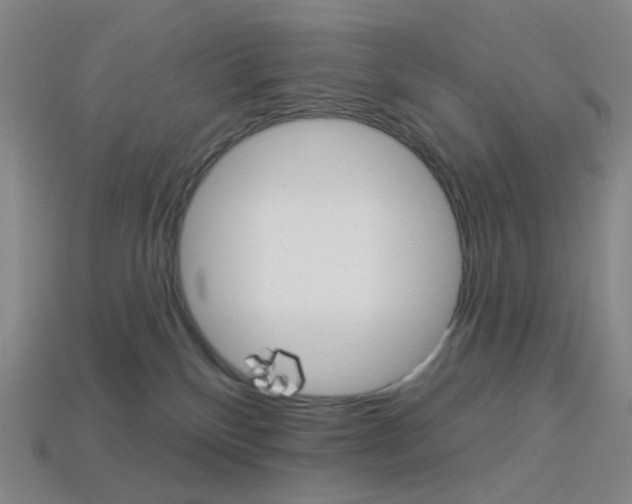 X0000114000136200910021038