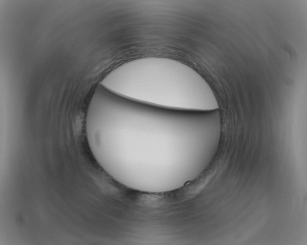 X0000114000139200910021038