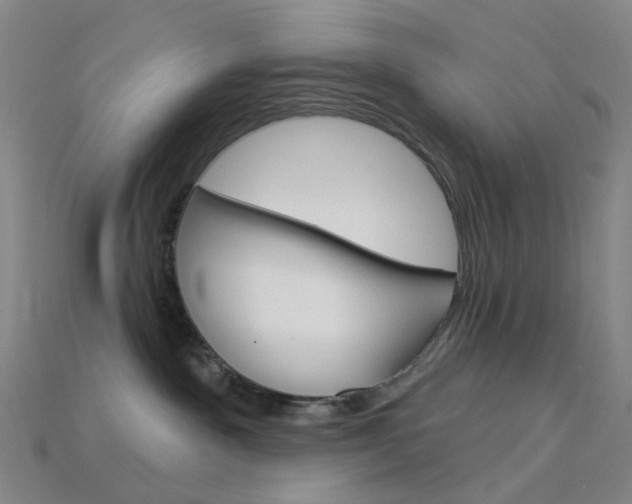 X0000114000141200910021038