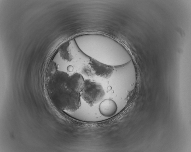 X0000114000145200910021038