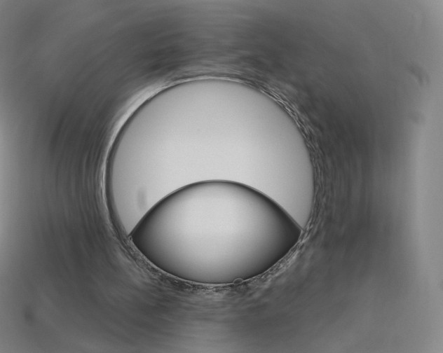 X0000114000148200910021038