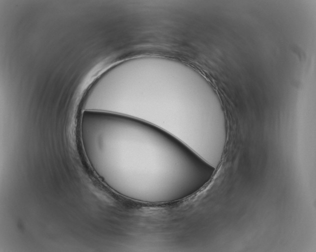 X0000114000150200910021038