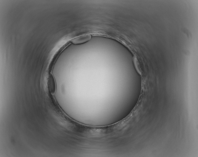 X0000114000152200910021038