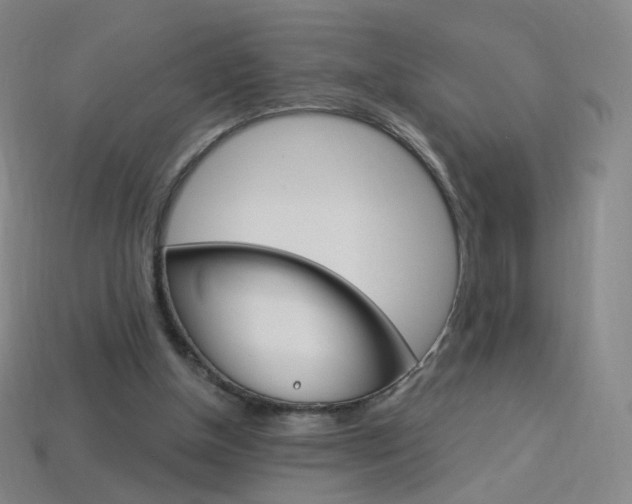 X0000114000154200910021038