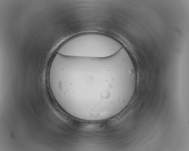 X0000114000155200910021038