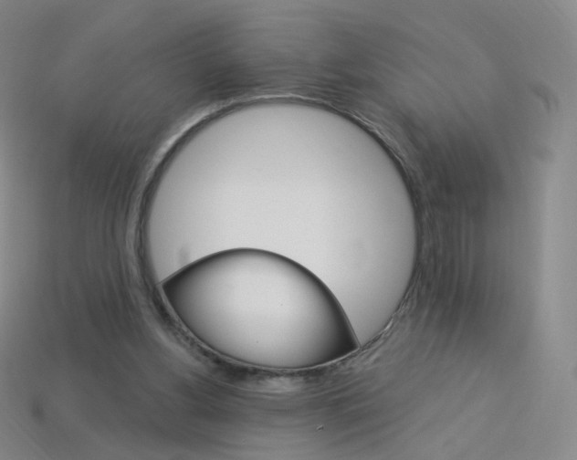 X0000114000156200910021038