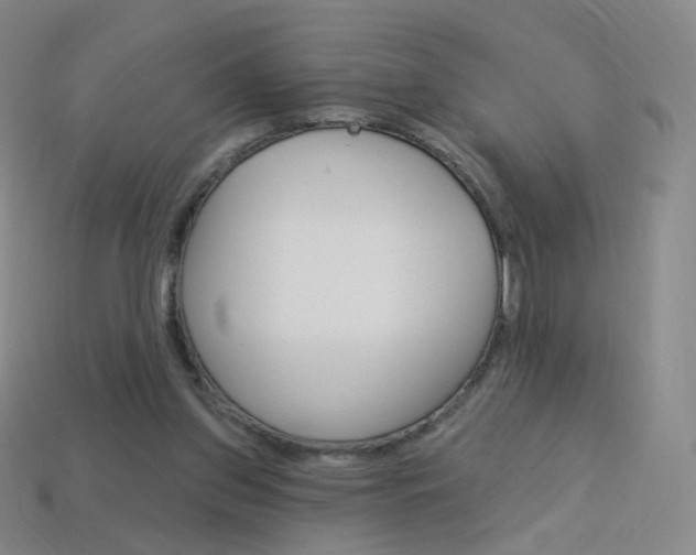 X0000114000157200910021038