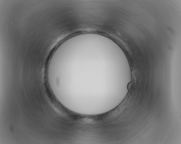X0000114000159200910021038