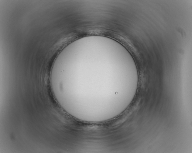 X0000114000161200910021038