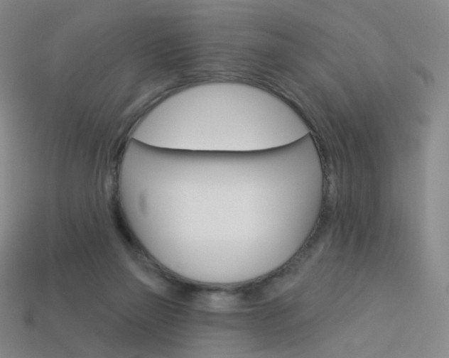 X0000114000165200910021038