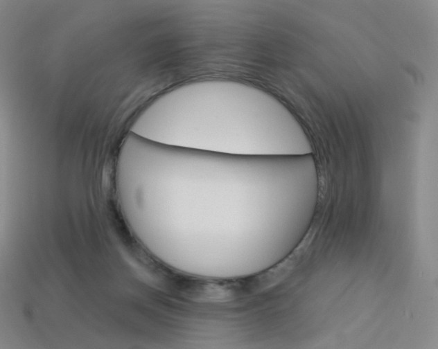 X0000114000166200910021038