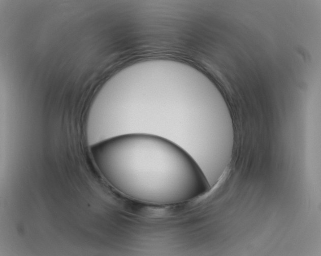 X0000114000170200910021038