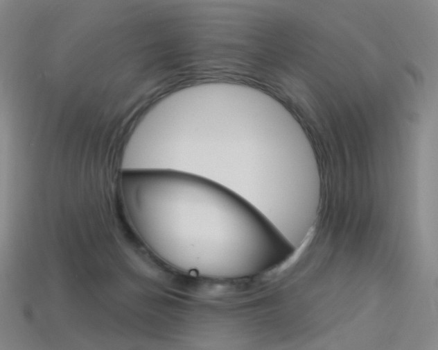 X0000114000174200910021038