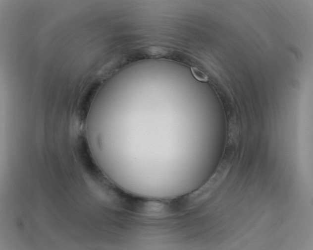 X0000114000176200910021038