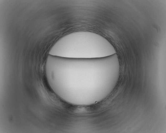 X0000114000177200910021038