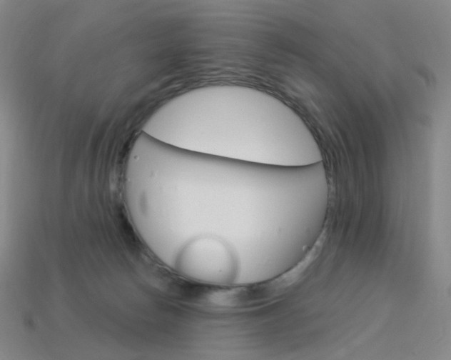 X0000114000178200910021038