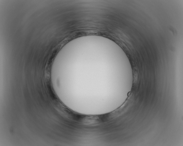 X0000114000179200910021038