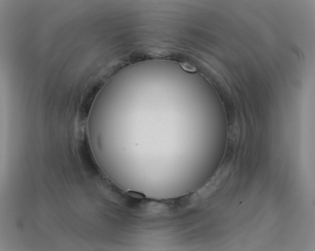 X0000114000180200910021038