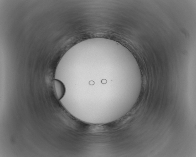 X0000114000181200910021038