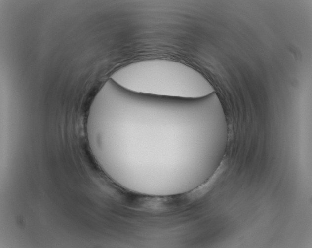 X0000114000182200910021038