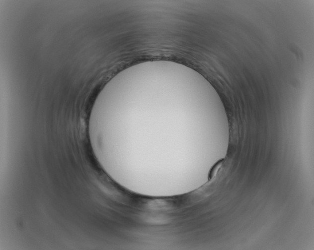 X0000114000183200910021038