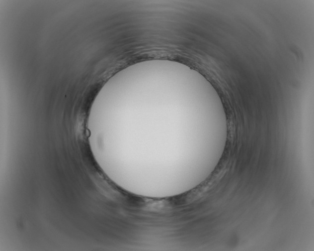 X0000114000185200910021038