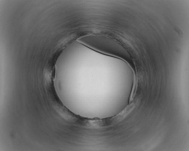 X0000114000188200910021038