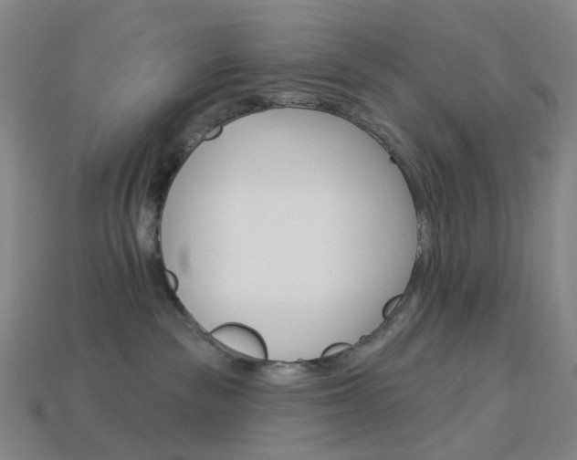 X0000114000189200910021038
