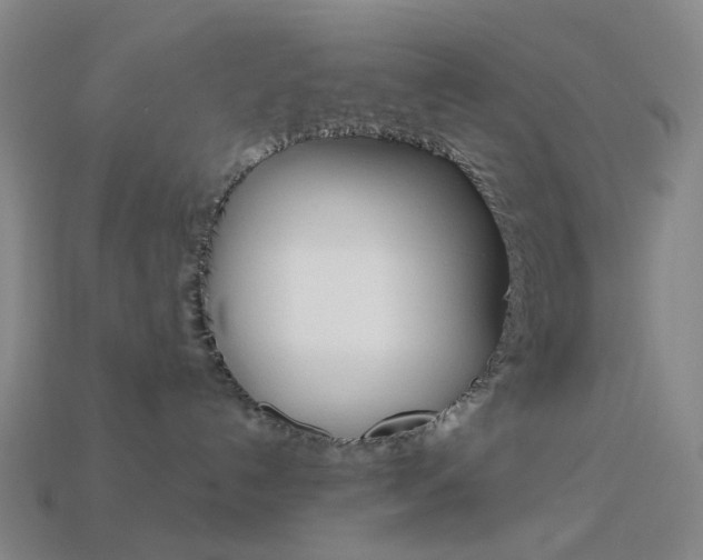X0000114000192200910021038