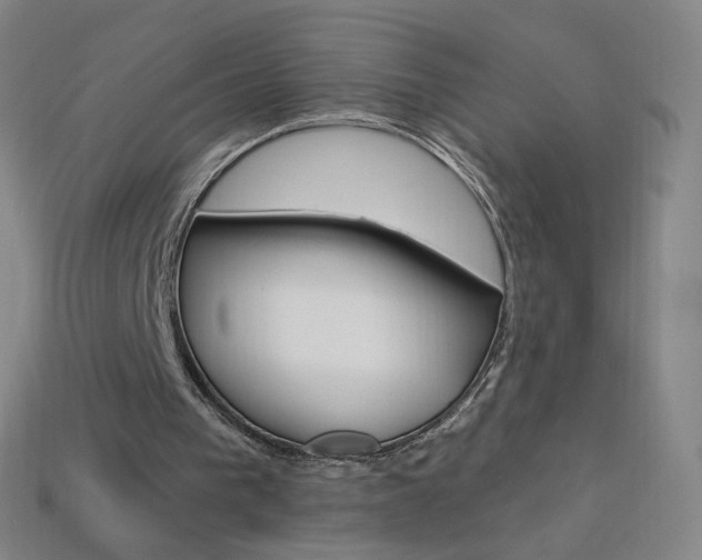 X0000114000193200910021038
