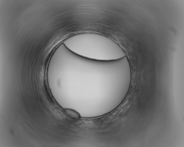 X0000114000194200910021038