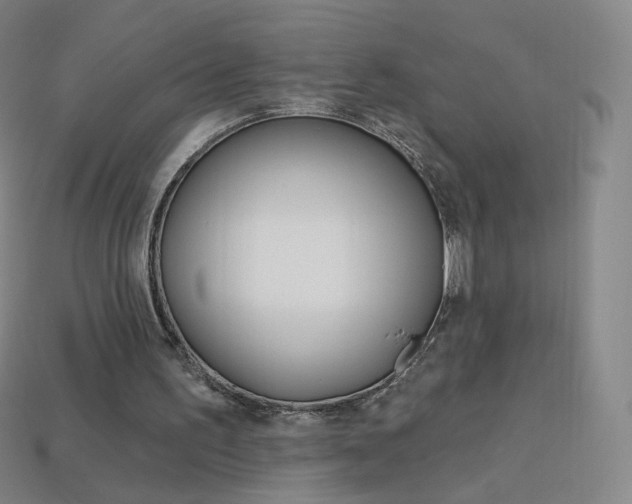 X0000114000195200910021038