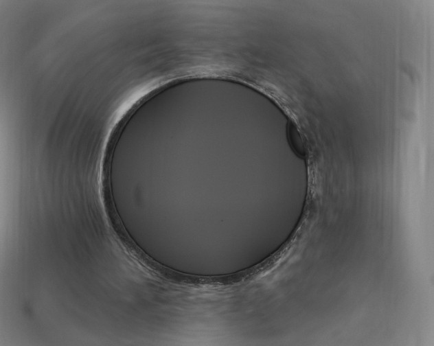 X0000114000196200910021038