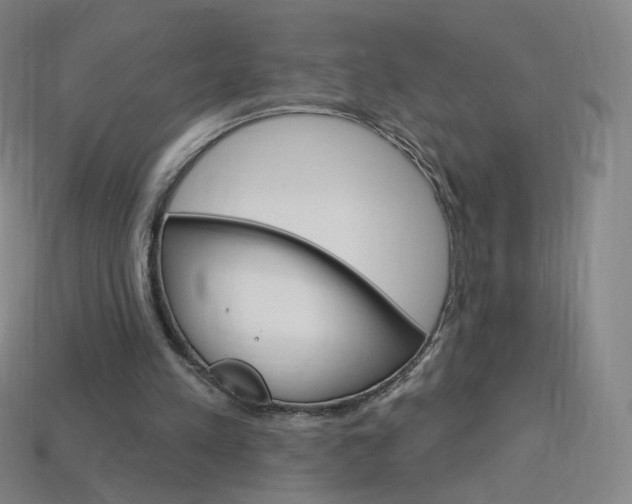 X0000114000197200910021038