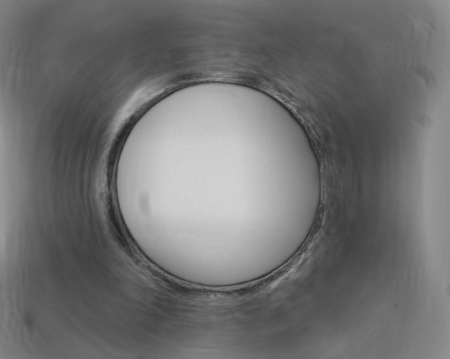 X0000114000198200910021038