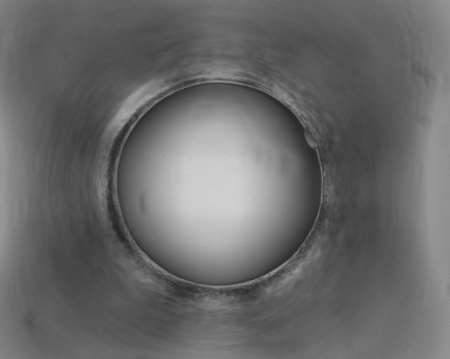 X0000114000199200910021038